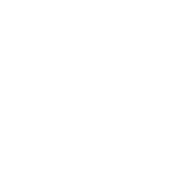 Dude From Above Logo